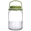 Single Harvest Storage Jar With Green Plastic Lid and Handle