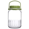 Single Harvest Storage Jar With Green Plastic Lid and Handle