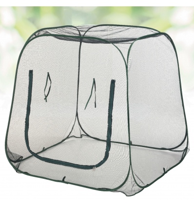 Pop Up Plastic Greenhouse [393839]