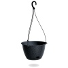 RATOLLA Round Hanging  Plastic Planter