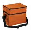 Orange Cooler Bag
