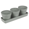 3pcs Small Flower Pot [437649]