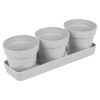 3pcs Small Flower Pot [437649]