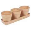 3pcs Small Flower Pot [437649]