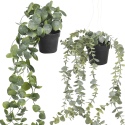 56cm Long Ivy Plant [607066]]