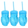 430ml Toucan Drinking Jar With Straw [137711]
