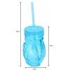 430ml Toucan Drinking Jar With Straw [137711]