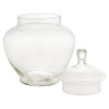 Glass Storage Pot [754913]