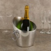 Zodiac 2.5l Aluminum Steel Wine Bucket [529431]