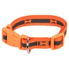 Fluorescent Coloured Dog Collar