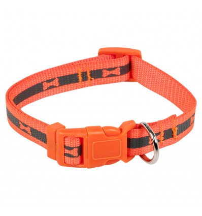 Fluorescent Coloured Dog Collar