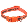 Fluorescent Coloured Dog Collar