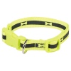 Fluorescent Coloured Dog Collar