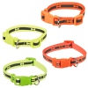 Fluorescent Coloured Dog Collar