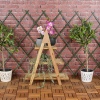 3 Tier Wooden Ladder Plant Holder Rack [824296]