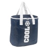 Blue Cooler Bag