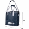 Blue Cooler Bag