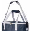 Blue Cooler Bag