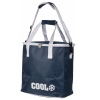 Blue Cooler Bag