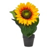22cm Sunflower In Pot 2ASS [451979]