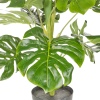 60cm Plant In Pot 3ASS [355363]