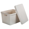 17L Medium Pastel Coloured Lidded Storage Boxes