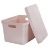 17L Medium Pastel Coloured Lidded Storage Boxes