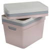 17L Medium Pastel Coloured Lidded Storage Boxes