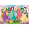 Puzzles - "60" - Favourite Princesses / Disney Princess [173475]