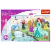 Puzzles - "60" - Meet the Princesses / Disney Princess [173611]