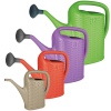 2 Litre Rattan Design Watering Can