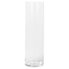65cm Glass Vase