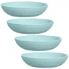 Single Ammonite L Turquoise Opal Dinnerware Collections