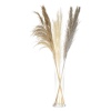 3 Pcs Pampas 100-115cm 4 ASS [853548]