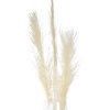 3 Pcs Pampas 100-115cm 4 ASS [853548]