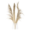 3 Pcs Pampas 100-115cm 4 ASS [853548]