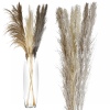 3 Pcs Pampas 100-115cm 4 ASS [853548]