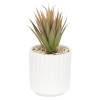 Artificial Plant In Ceramic Pot 10x10x17 cm [546807]