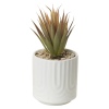 Artificial Plant In Ceramic Pot 10x10x17 cm [546807]