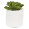 Artificial Plant In Ceramic Pot 10x10x17 cm [546807]