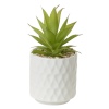 Artificial Plant In Ceramic Pot 10x10x17 cm [546807]