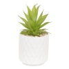 Artificial Plant In Ceramic Pot 10x10x17 cm [546807]