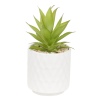 Artificial Plant In Ceramic Pot 10x10x17 cm [546807]