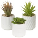 Artificial Plant In Ceramic Pot 10x10x17 cm [546807]