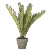 Artificial Fern Plant [387865]