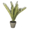 Artificial Fern Plant [387865]