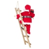 Santa Figurine Standing On Ladder