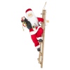 Santa Figurine Standing On Ladder
