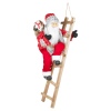 Santa Figurine Standing On Ladder