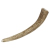 Real Red Deer Elk Dog Chew Antlers